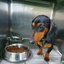 동수5길 이미지