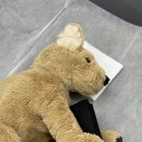 잠실 석촌역왁싱 레브슈가링왁싱에서 브라질리언 받은 후기