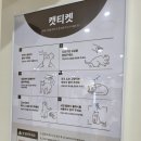 돈부타 | 경산 가볼 만한 곳 NC백화점 5층 신규 오픈 고양이 카페 부타캣. 실내 이색 데이트 추천 평일 힐링 후기.