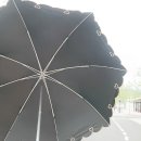 크로커다일춘천