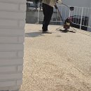 콩자갈시공 혼자서 몇 헤베 시공이 가능한가 네시간 동안 계단 포함 30헤베 적당합니다 이미지