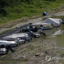 Antonio`s Farm 이미지