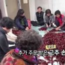 고추부각 바삭바삭 튀김 만드는 법 고추 튀각 만들기 이미지