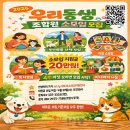 펫38고1154 | [3월 뉴스레터] 😿고양이는 아픈 걸 티 내지 않으니까요: 관절염 체크리스트 (feat. 총회 결과)