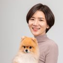 글로벌 마이펫 이미지