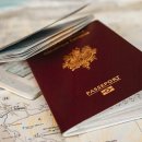 대마축산 이미지