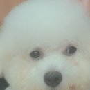 빛나개살롱 이미지