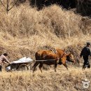바리실마을 이미지