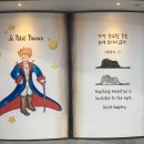 아이러빗
