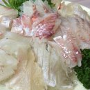 하동횟집 - 중구 자갈치해안로 62 | 하동횟집