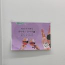 소이클래식필라테스마곡 | 전신근력강화 운동 기구 보디가 있는 마곡역필라테스