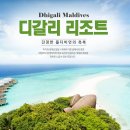 (W-125) 몰디브 신혼여행 계약 후기 : 팜투어