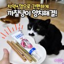 닥터그린홈 | 고양이양치 이제 간식으로 해결해요! 고양이치약 덴탈껌 패키지 후기