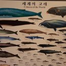 장생포고래박물관 이미지