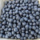 삼촌푸드 이미지