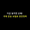 선하식품 | 📦 지금 놓치면 손해! 국제 운송 보험료 완전정복