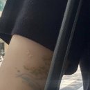 수정목욕탕 | [컬러타투 발색 2주차 후기] 관리법 &amp; 딱지 떨어진 뒤 색깔 ! 🌱