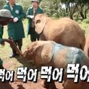 산카이 - 고양시 일산동구 위시티2로11번길 45 | 산카이