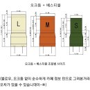 웨스턴캠프 | 동계캠핑 준비하기, 오크돔베스티블 장박 바닥공사 편