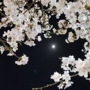 다산운수