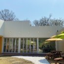 그린그라스 이미지