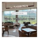 강원도미시령에서온선녀와나무꾼 | [고성] 강원도 고성 여행 - 울산 바위뷰 델피노 ‘더엠브로시아’ 카페 주말 오픈런 후기