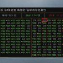 당지지 이미지