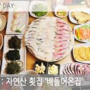 배들어온집