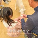 대장로 | 10개월 아기와 함께한 서울 근교 동물 먹이주기 체험 나눔농장