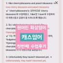 소리영어 상상영어 | 원어민 화상영어 첫번째 수업후기 캐스영어