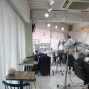 합정 메세나폴리스 미용실 피움헤어 클리닉 후기
