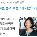 장윤정콘서트 이미지