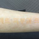 셀렉트피부과의원 이미지