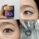 렌즈미 클로아 베이지팝, 베리팝하이라이트 렌즈 신상 내돈내산 후기