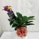 월성파출소 이미지