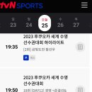 세계선수권 남자 자유형 200ｍ 결승에 오른 황선우-이호준, 결승은 오늘 오후 8시2분 !!! 이미지