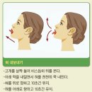 혀도 근육, 꾸준히 운동시켜야 이미지