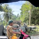 코코농장 1 이미지