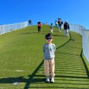 신왕짜장 | 포항여행 아이와 가볼만한곳 (호미곶/죽도시장/스카이워크/영일대전망대)