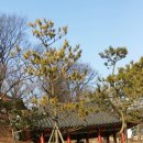 고골로 이미지