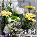 낙원화원 - 서초구 강남대로 27 | 낙원화원