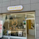 씨유 청주봉정점 | 청주사진관 엄마랑 함께 가족사진 찍은 봉명동 연희스튜디오
