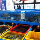 삼천포회구이 이미지