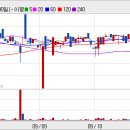 신영와코루 해외브랜드 진출 가속화로 경쟁 더욱 심화될 것으로 전망 이미지