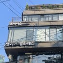 스파더숲 이미지