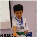 프리미엄 태권마루 태권도장 이미지