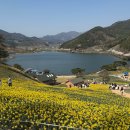 알프스랜드 | 지리산치즈랜드 | 수선화, 가족체험 여행, 반려동물 여행 추천지! 전남 구례여행