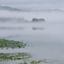 2024.07.26~27 춘천 수변공원 . 죽림동 성당 , 문경 선유동계곡 이미지