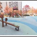 옥정 왕벚나무길 이미지