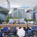 성실농장 | 서울광장 영양고추 축제 리얼 후기 : 제17회 영양고추 H.O.T 페스티벌 다녀왔어요!